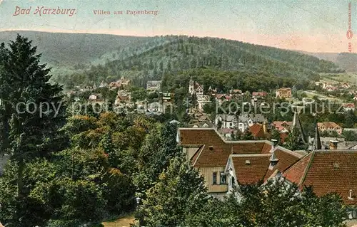 AK / Ansichtskarte Bad Harzburg Villen am Papenberg Kat. Bad Harzburg