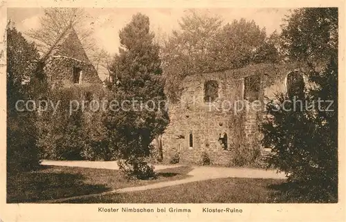 AK / Ansichtskarte Nimbschen Kloster Ruine
