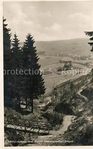 AK / Ansichtskarte Oberwiesenthal Erzgebirge Schoenjungferngrund Fernsicht Kat. Oberwiesenthal