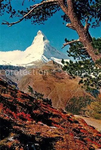 AK / Ansichtskarte Zermatt VS Riffelalp Matterhorn  Kat. Zermatt