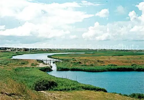 AK / Ansichtskarte Nymindegab 