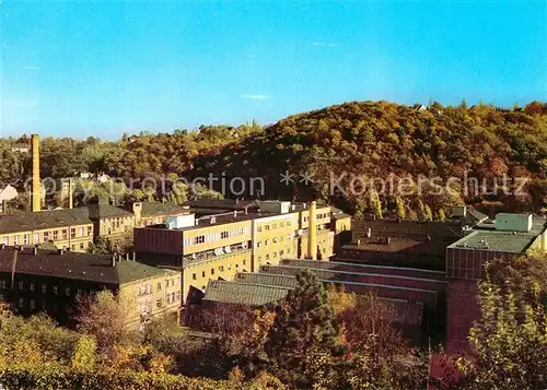 AK / Ansichtskarte Meissen Elbe Sachsen Schauhalle Betriebsgelaende Triebischtal  Kat. Meissen