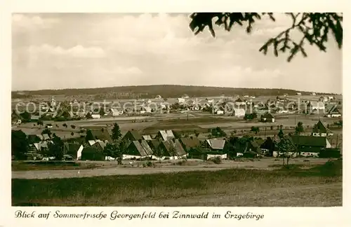 AK / Ansichtskarte Georgenfeld Sommerfrische Erzgebirge Kat. Zinnwald Georgenfeld