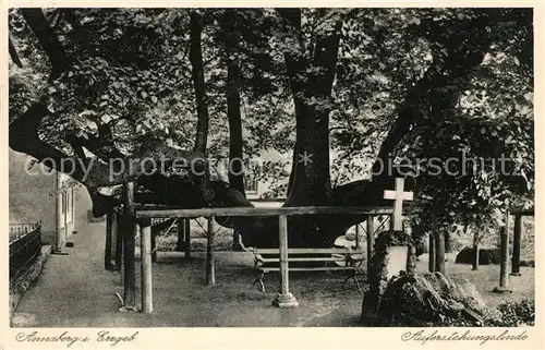 AK / Ansichtskarte Annaberg Buchholz Erzgebirge Auferstehungslinde Baum Kat. Annaberg