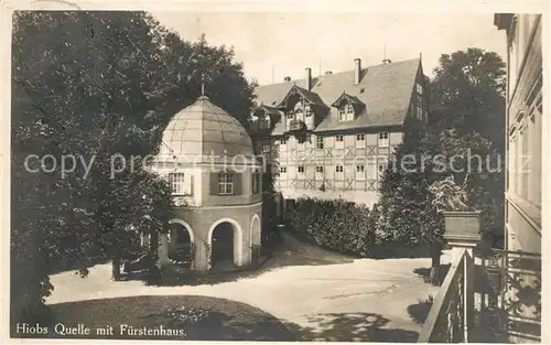 AK / Ansichtskarte Wiesenbad Hiobs Quelle mit Fuerstenhaus Kat. Thermalbad Wiesenbad