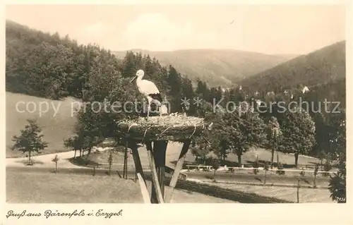 AK / Ansichtskarte Baerenfels Erzgebirge Storch im Storchennest Kat. Altenberg