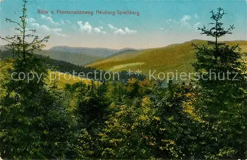 AK / Ansichtskarte Friedrichroda Panorama Blick vom Promenadenweg Heuberg Spiessberg Kat. Friedrichroda