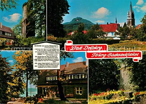 AK / Ansichtskarte Bad Driburg Aussichtsturm Sachsenklause Burgruine Kat. Bad Driburg