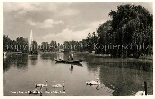 AK / Ansichtskarte Hoechst Main Park Weiher Kat. Frankfurt am Main