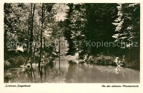 AK / Ansichtskarte Siegerland In der schoenen Baenkenbach