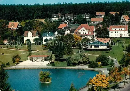 AK / Ansichtskarte Hahnenklee Bockswiese Harz Panorama Kat. Goslar