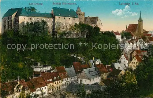 AK / Ansichtskarte Leisnig Schlossberg Schloss Mildenstein Kat. Leisnig