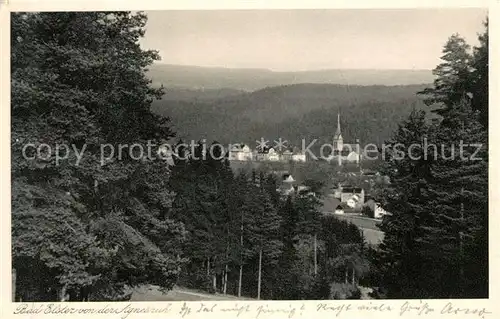 AK / Ansichtskarte Bad Elster Panorama Kat. Bad Elster