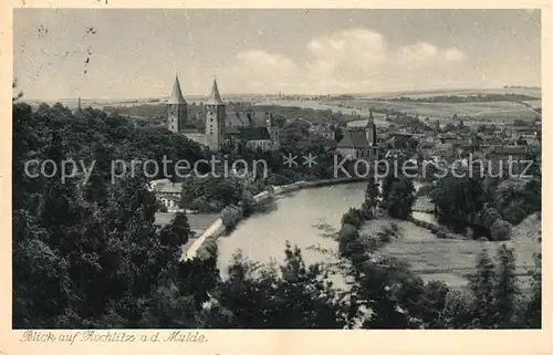 AK / Ansichtskarte Rochlitz Sachsen Panorama Kat. Rochlitz