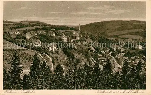 AK / Ansichtskarte Gottleuba Berggiesshuebel Bad Panorama Kat. Bad Gottleuba Berggiesshuebel