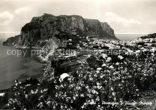 AK / Ansichtskarte Capri Panorama e Piccola Marina Kat. Golfo di Napoli