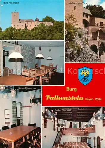 AK / Ansichtskarte Falkenstein Oberpfalz Burg Aufgang zum Turm Grosser Rittersaal kleines Ritterzimmer Kat. Falkenstein