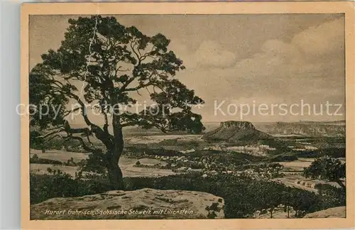 AK / Ansichtskarte Gohrisch Panorama Blick zum Lilienstein Tafelberg Elbsandsteingebirge Kat. Gohrisch