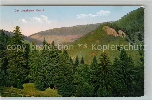 AK / Ansichtskarte Friedrichroda Der Ungeheure Grund Landschaftspanorama Kat. Friedrichroda