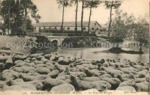 AK / Ansichtskarte Mourmelon le Grand Pont du Berger Kat. Mourmelon le Grand