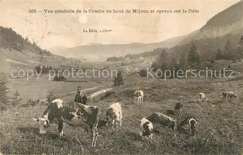 AK / Ansichtskarte Mijoux Vue de la Combe Kuehe Kat. Mijoux