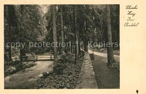 AK / Ansichtskarte Schierke Harz Waldpartie im Elendstal Kat. Schierke Brocken