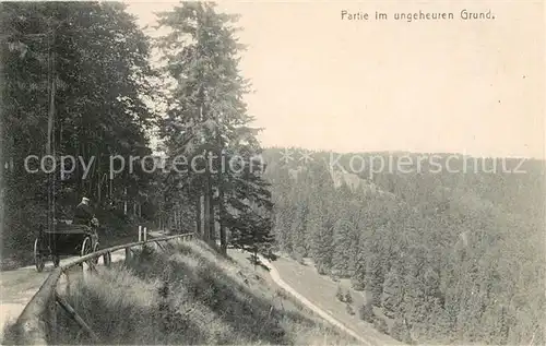 AK / Ansichtskarte Friedrichroda Partie im ungeheuren Grund Pferdekutsche Landschaftspanorama Kat. Friedrichroda