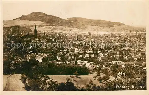 AK / Ansichtskarte Freiburg Breisgau Stadtpanorama Kat. Freiburg im Breisgau