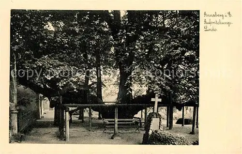 AK / Ansichtskarte Annaberg Buchholz Erzgebirge Auferstehungslinde Baum Kat. Annaberg