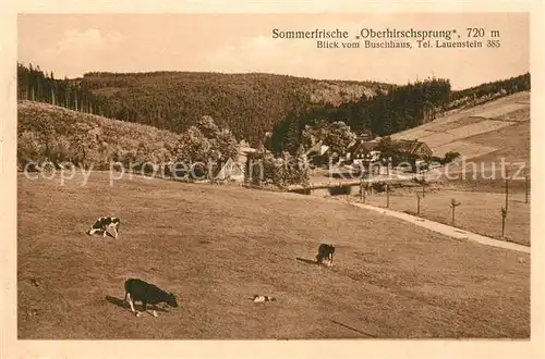 AK / Ansichtskarte Oberhirschsprung Sommerfrische Blick vom Buschhaus Viehweide Kuehe