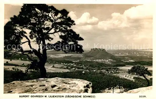 AK / Ansichtskarte Gohrisch Panorama Kurort mit Lilienstein Tafelberg Elbsandsteingebirge Kat. Gohrisch
