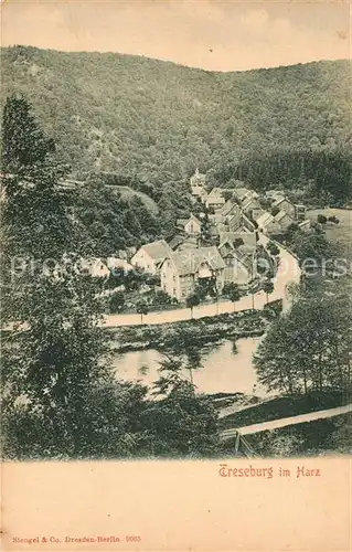 AK / Ansichtskarte Treseburg Harz Talblick Kat. Treseburg