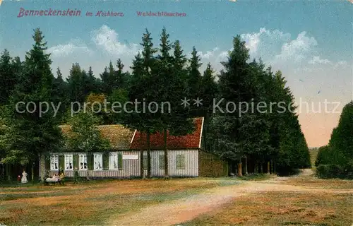 AK / Ansichtskarte Benneckenstein Harz Waldschloesschen