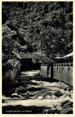 AK / Ansichtskarte Thale Harz Jungfernbruecke im Bodetal Kat. Thale