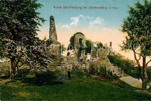 AK / Ansichtskarte Stecklenberg Ruine Stecklenburg Kat. Stecklenberg