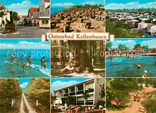 AK / Ansichtskarte Kellenhusen Ostseebad Strassenpartien Strand Camping Badespass Reiten Kat. Kellenhusen (Ostsee)