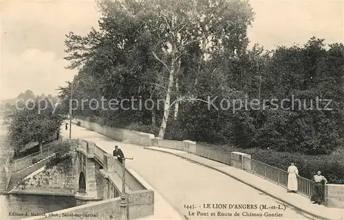 AK / Ansichtskarte Le Lion d Angers Pont et Route de Chateau Gontier Kat. Le Lion d Angers