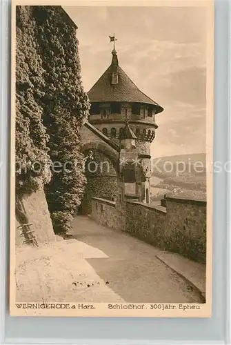 AK / Ansichtskarte Wernigerode Harz Schlosshof 300jaehriges Efeu Kat. Wernigerode