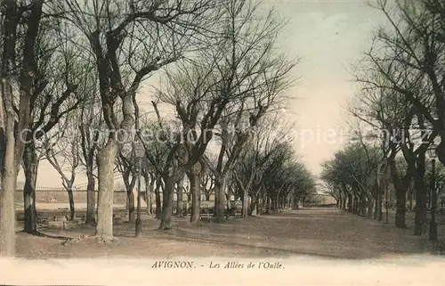 AK / Ansichtskarte Avignon Vaucluse Les Allees de l`Oulle Kat. Avignon