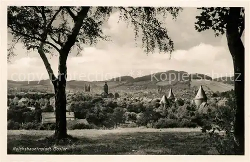 AK / Ansichtskarte Goslar Reichsbauernstadt Kat. Goslar