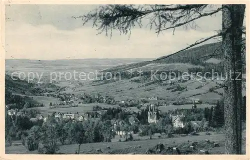 AK / Ansichtskarte Bad Flinsberg Swieradow Zdroj Panorama Kat. 