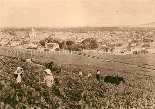 AK / Ansichtskarte Reims Champagne Ardenne Vue generale Premier cru de raisins noirs  Kat. Reims