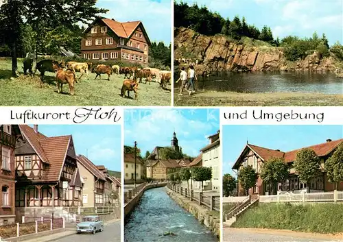 AK / Ansichtskarte Floh Seligenthal Ferienheim Ebertswiese Bergsee Flohbach Gasthof Feldschloesschen Kat. Floh Seligenthal