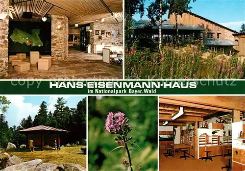 AK / Ansichtskarte Bayerischer Wald Hans Eisenmann Haus 