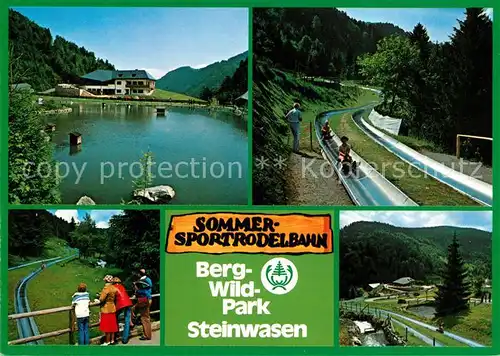 AK / Ansichtskarte Todtnau Bergwildpark Steinwasen Sommersportrodelbahn Kat. Todtnau