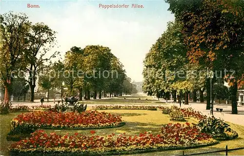 AK / Ansichtskarte Bonn Rhein Poppelsdorfer Allee Kat. Bonn