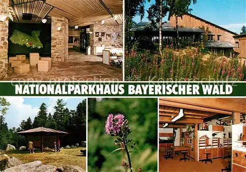 AK / Ansichtskarte Bayerischer Wald Nationalparkhaus