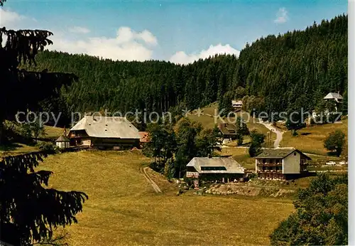 AK / Ansichtskarte Hinterzarten Pension Birkenberger Kesslermuehle  Kat. Hinterzarten