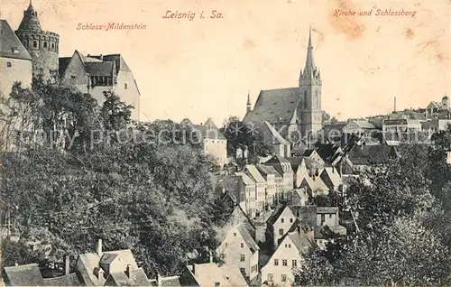 AK / Ansichtskarte Leisnig Kirche und Schlossberg Schloss Mildenstein Kat. Leisnig