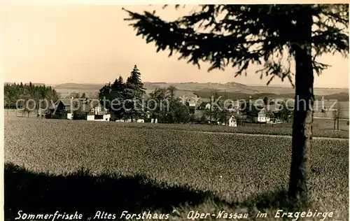 AK / Ansichtskarte Obernassau Sommerfrische Altes Forsthaus